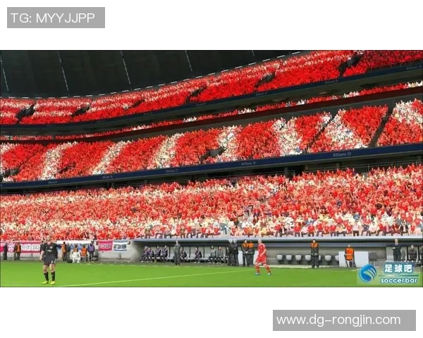 瑞士足球明星签名鉴赏与球迷互动活动精彩回顾